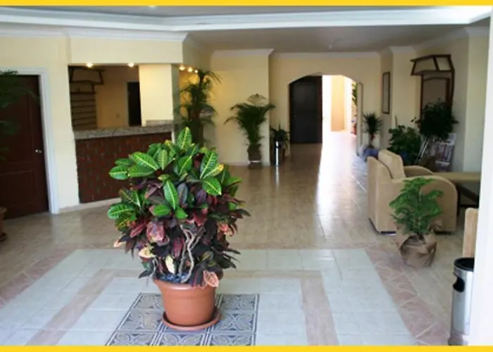 Otel Dynasty 3*