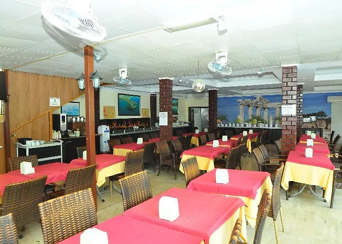 Dynasty Side