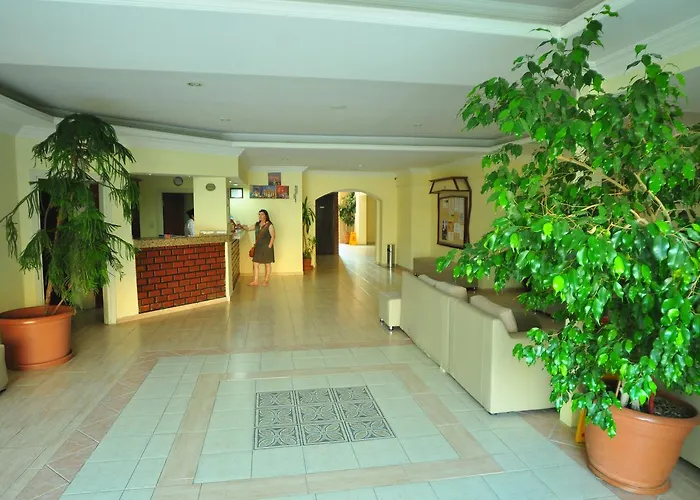 Otel Dynasty