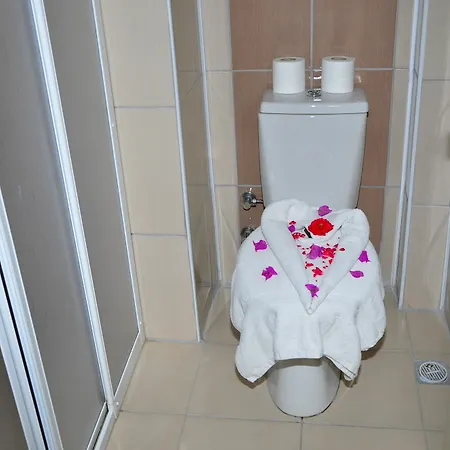 Dynasty מלון סייד