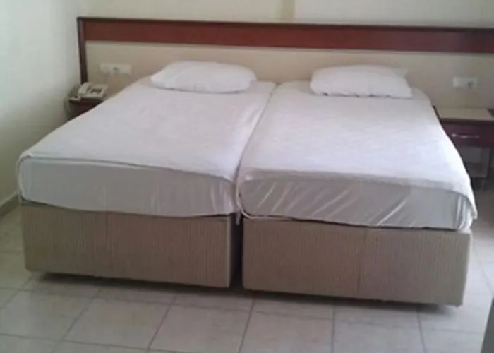 Dynasty 酒店 锡德