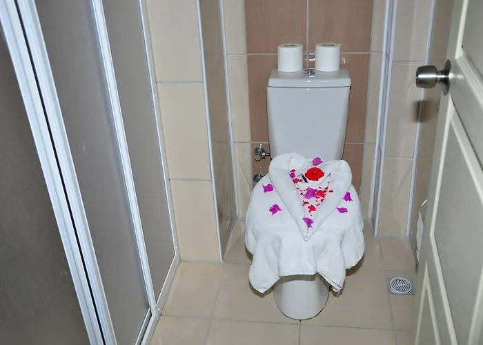 Dynasty 酒店 锡德